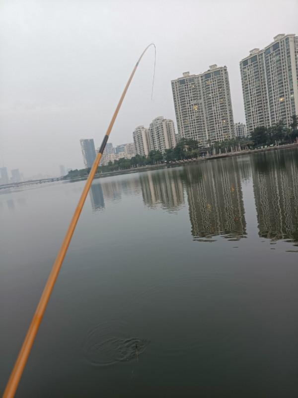 新杆開光手感一流,享受著遛魚的過程 新杆開光手感一流,享受著遛魚的過程