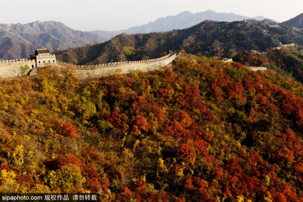 顏值爆表！北京熱門賞秋地，紅葉盛宴即將來襲~