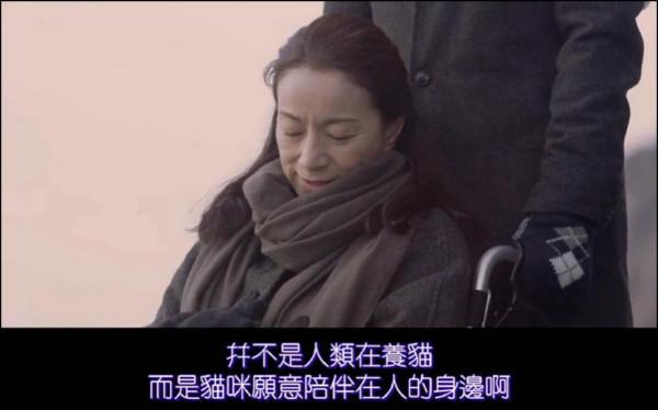 “負債的人憑什麼養寵物?”網友:有人負債卻安心生二胎 “負債的人憑什麼養寵物?”網友:有人負債卻安心生二胎