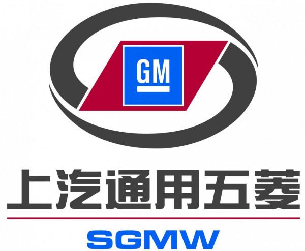 這11款“中國特供車”，居然是冒牌貨？