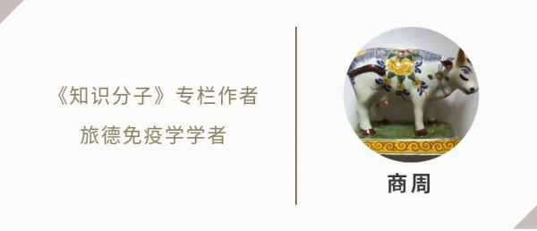 豌豆之外,孟德爾的其他研究如何?| 商周專欄 豌豆之外,孟德爾的其他研究如何?| 商周專欄