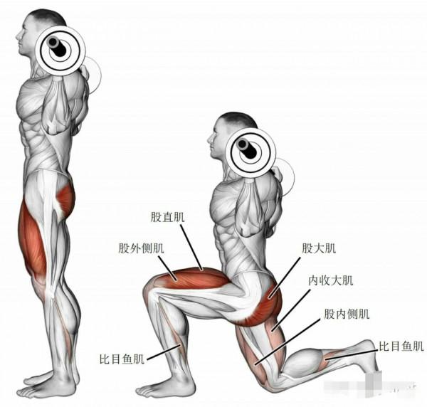 健身器材篇(槓鈴,啞鈴) 健身器材篇(槓鈴,啞鈴)