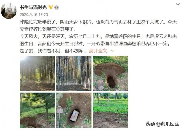 100只貓還在，這位狸奴書生卻永遠走了&hellip;&hellip;