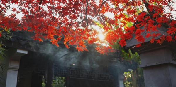 心理學：把“謝謝”掛在嘴邊的人，無非是這3種人