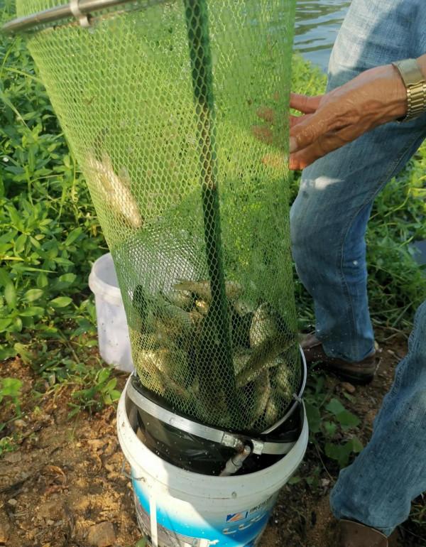 偷得浮生半日閒，野河釣魚過把癮