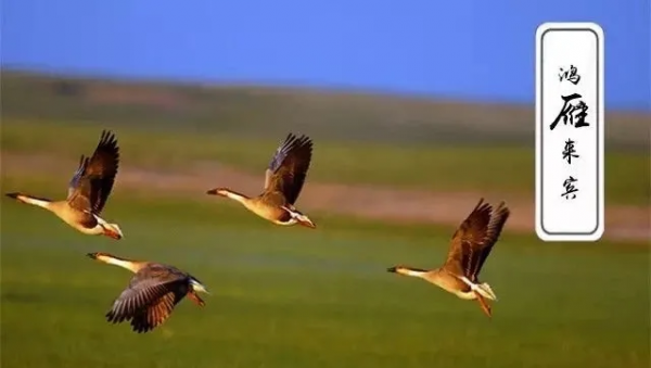 讀宋•柳永《少年遊•長安古道馬遲遲》 讀宋•柳永《少年遊•長安古道馬遲遲》