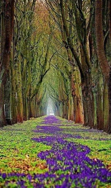 世界很大，風景很美，而你卻不是那個想走就走的人