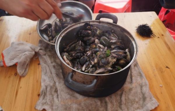 這是一篇幫你玩轉舟山的實用乾貨帖