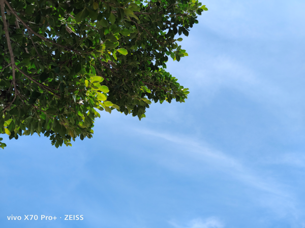 實拍質感爆棚,配置拉滿,vivo X70 Pro+實力全面升級 實拍質感爆棚,配置拉滿,vivo X70 Pro+實力全面升級