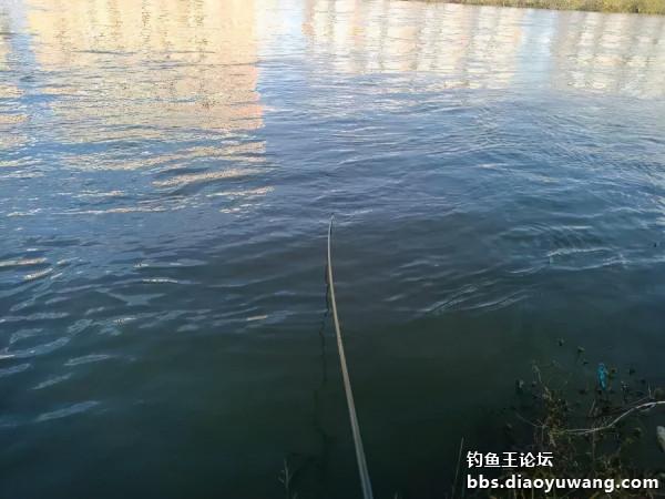 釣魚王餌兩腥配，帶來一次小豐收