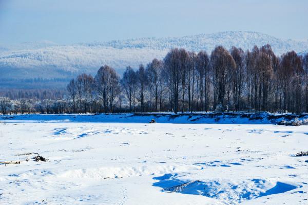 中醫養生｜冬季適當進補