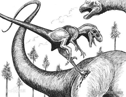 大猛龍即大盜龍，意為“巨大的盜賊”，生活在白堊紀晚期，