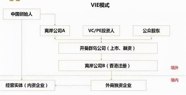 人人腰斬，韭菜狂歡