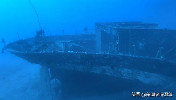 乘風破浪觀賞巨鯨 海底探險博覽魚群