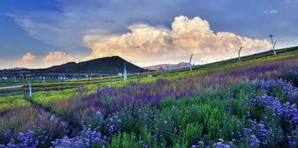 講真！今天出遊最明智，不堵！且為您選好了路線……