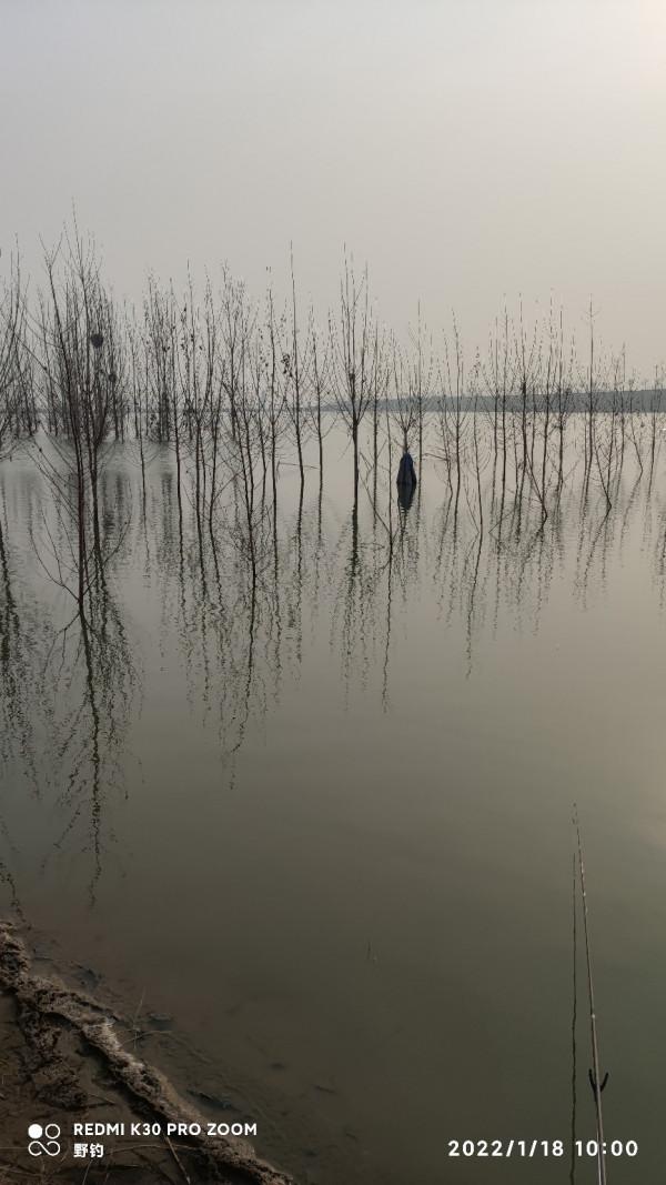 冬日再戰沁水河畔，大鯽大鯉收穫爆護