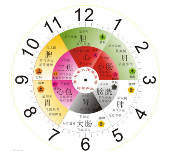 舌診分析：口乾、口苦、口臭、大便粘粘不成形，記憶力差，怎麼辦