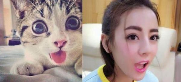 那些和動物撞臉的明星們 只有我們熱巴最可愛