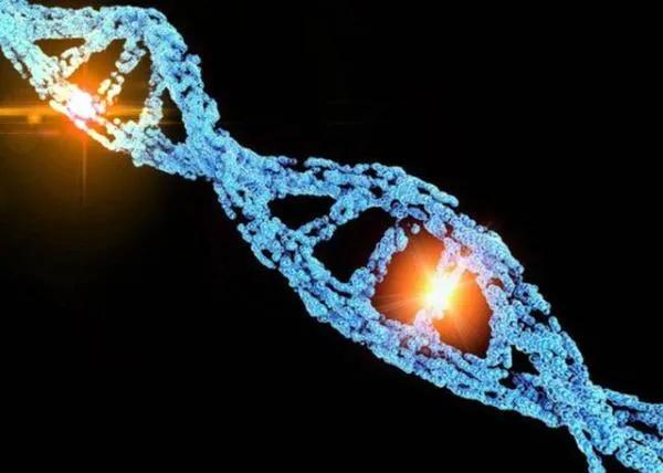 是基因變異，還是雜交產物？為什麼印度屢屢出現&OpenCurlyDoubleQuote;人臉山羊&rdquo;？