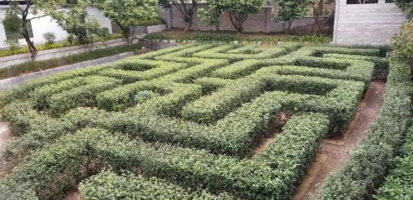 國慶中醫藥文化之旅①：嶺南中醫藥文化博覽園（國醫小鎮）