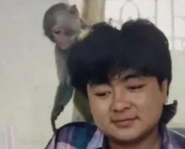 2019年“第三豬皇”程思寒去世,被火車撞過都沒死,為何死於心梗 2019年“第三豬皇”程思寒去世,被火車撞過都沒死,為何死於心梗