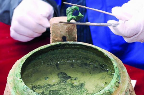 考古隊挖掘秦朝墓葬，發現罕見的骨頭湯，送往北京鑑定後興奮不已