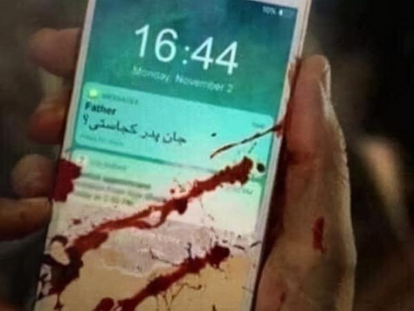 你見過最感人的瞬間是什麼？