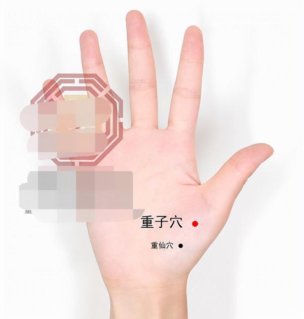 中醫針灸肩部疾病處方1 中醫針灸肩部疾病處方1