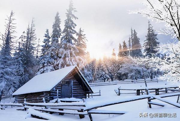 冬至前後，這6道晨粥記得喝，堅持每天喝一碗，營養美味身體舒服