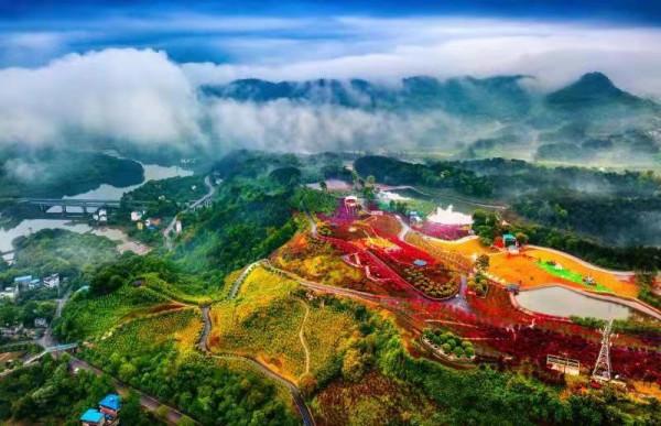 巴南區1800畝主城最大“紅楓”聖地等你來浪漫打卡