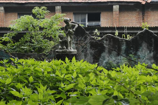 三線系列之35：湖北蒲圻紡織總廠，第3110工廠，蒲紡集團