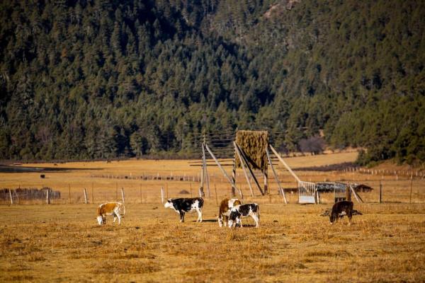 住進遺落人間的天堂 哈弗M6 PLUS生活記