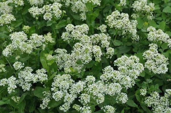 “老大”的故事 “老大”的故事