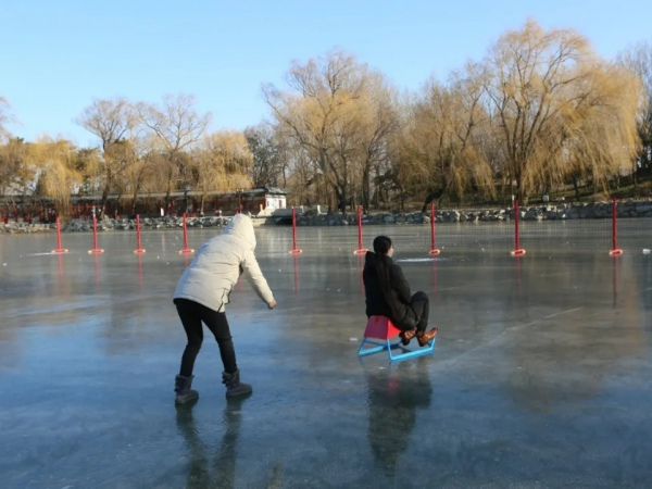 元旦去哪玩？賞花燈、看錶演、戲冰雪……