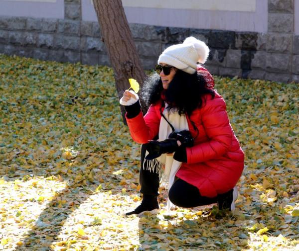 一場風雪,北京釣魚臺鋪就“金色大道” 一場風雪,北京釣魚臺鋪就“金色大道”