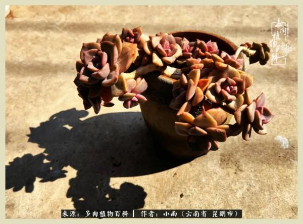 用一份熱愛，溫暖一段時光