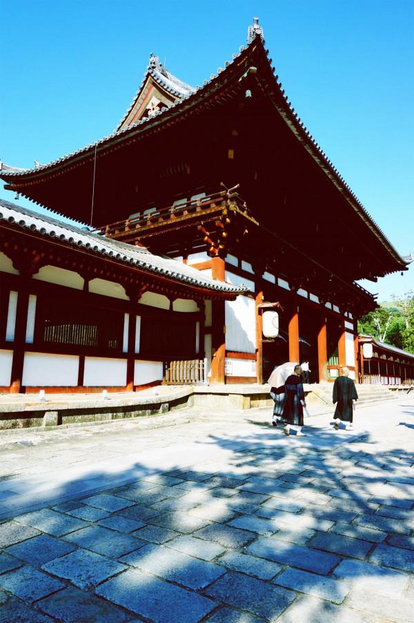 奈良見聞錄：一個屬於鹿的城市，是旅人一生的嚮往