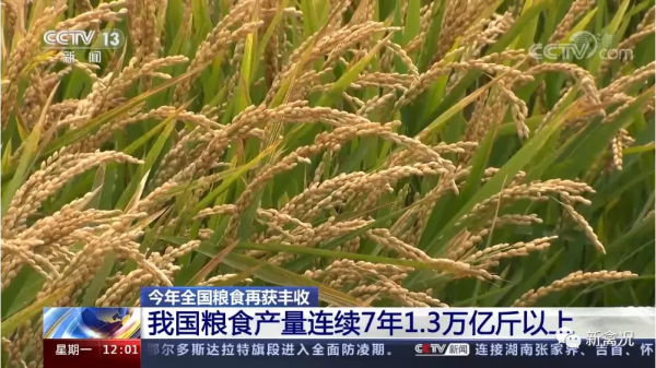 1.3萬億斤!全國糧食產量創新高,飼料會降價嗎? 1.3萬億斤!全國糧食產量創新高,飼料會降價嗎?