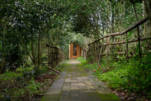 冬日騰衝,方圓十里有花香 冬日騰衝,方圓十里有花香