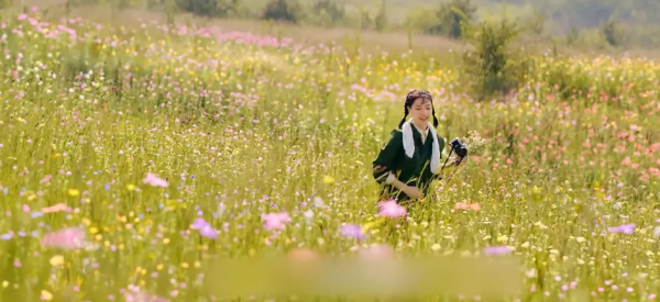 離譜，國產編劇開始禍害軍旅劇了
