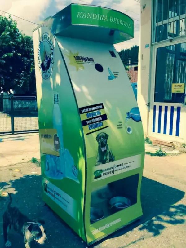 土耳其一隻流浪狗火了，它每天搭地鐵去旅行，網友贊爆