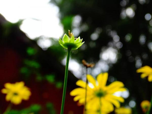 陽光和你都重要