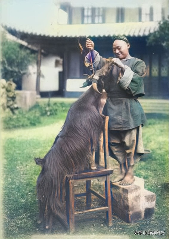 晚清老照片：太監抬著總統女兒去見慈禧太后，男子辮子長到挨地