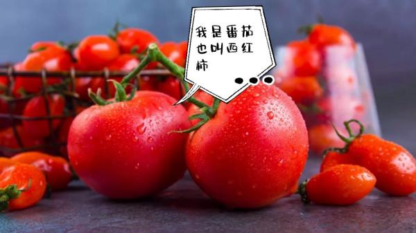 新疆菜為啥這麼好吃，常用的幾樣配菜，您也在用麼