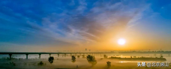三隻黑天鵝暢遊永定河，多種珍稀鳥類齊聚房山這條生態廊道！