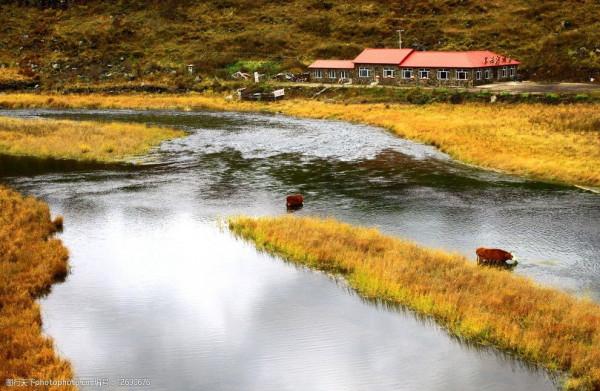 阿爾山的秋天，風景如畫，旖旎怡然，這才是秋天該有的樣子