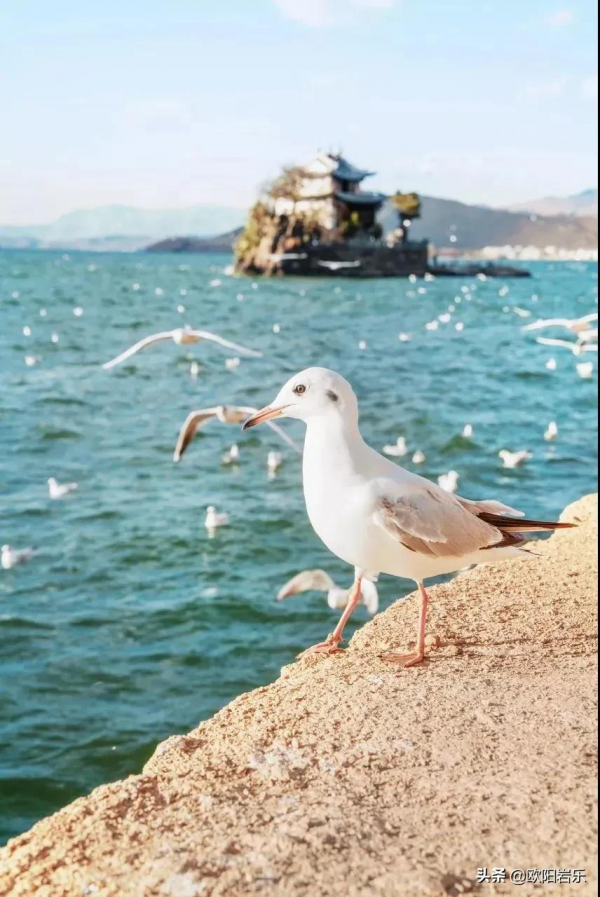 15個適合一個人去的旅行地，每個都有不一樣的驚喜，出發吧