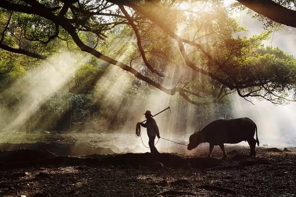 中國絕美的15個旅行地,每個都與眾不同,去了就捨不得離開 中國絕美的15個旅行地,每個都與眾不同,去了就捨不得離開