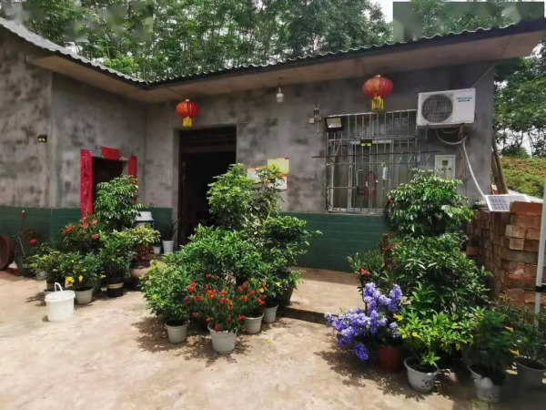 鄉村振興 | 白馬鎮光明村:美麗鄉村蝶變記 鄉村振興 | 白馬鎮光明村:美麗鄉村蝶變記