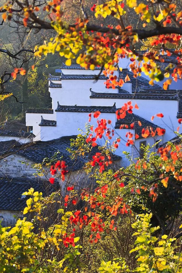 值得一去的11個古鎮，秋天風景宜人，美如畫卷！你最喜歡哪一個？